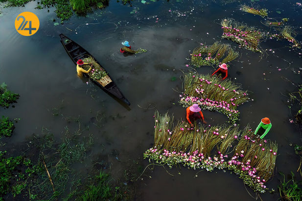 مسابقه عکاسی ایندپندنت