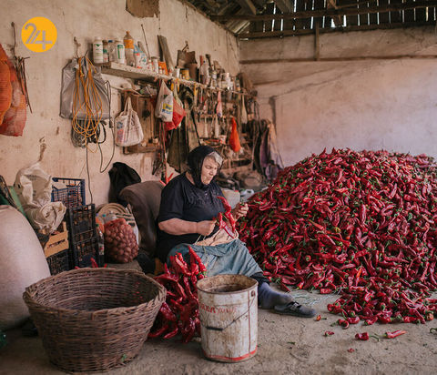 مسابقه عکاسی ایندپندنت