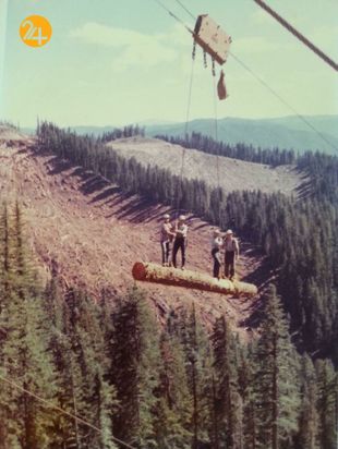 مشاغل پر خطر