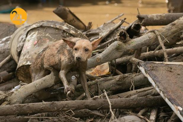 طوفان وامکو