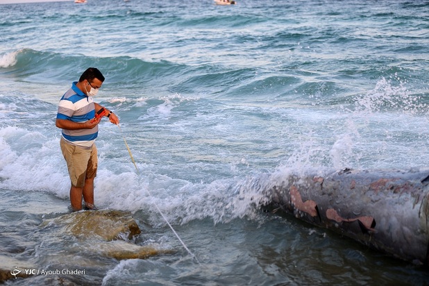 مرگ نهنگ به گل نشسته