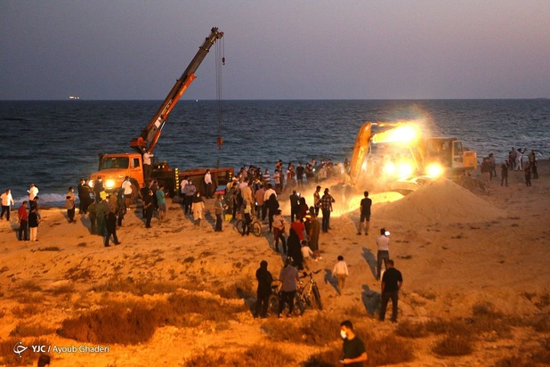 مرگ نهنگ به گل نشسته