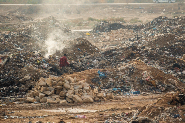 حیوانات میان پسماندهای بیمارستانی