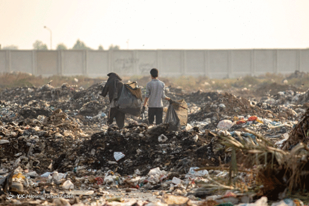 حیوانات میان پسماندهای بیمارستانی