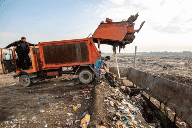 حیوانات میان پسماندهای بیمارستانی