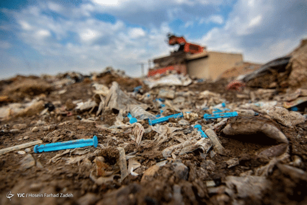 حیوانات میان پسماندهای بیمارستانی