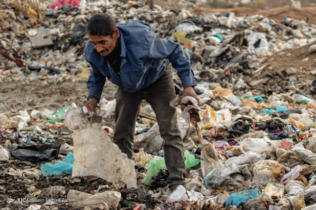 حیوانات میان پسماندهای بیمارستانی