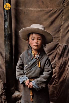 آثار استیو مک‌کری