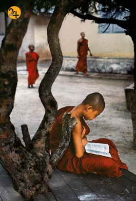 آثار استیو مک‌کری