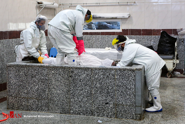 مرگریزان پائیزی