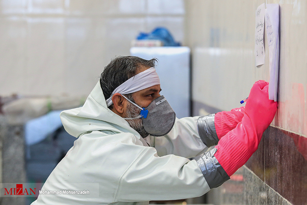 مرگریزان پائیزی