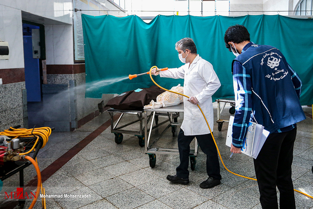 مرگریزان پائیزی