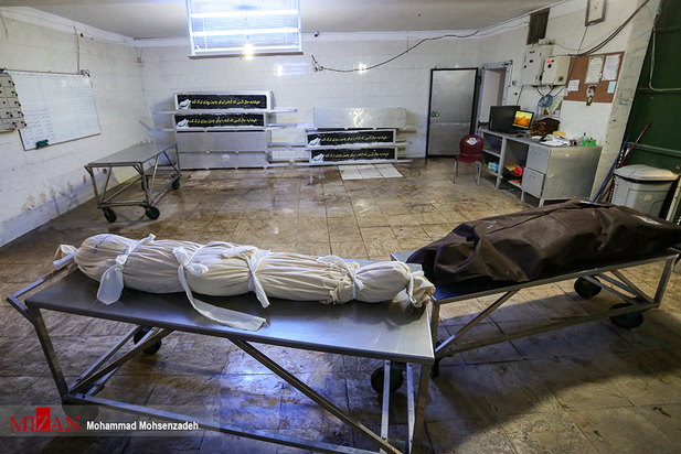 مرگریزان پائیزی