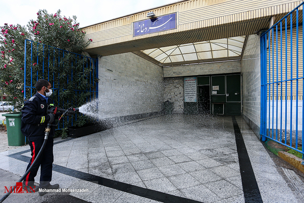 مرگریزان پائیزی