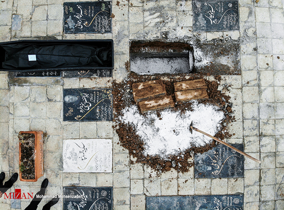 مرگریزان پائیزی