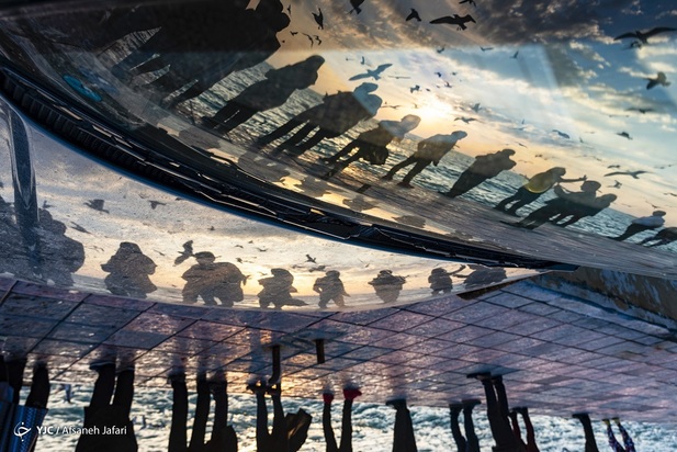 بازگشت شالوها