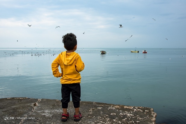 بازگشت شالوها