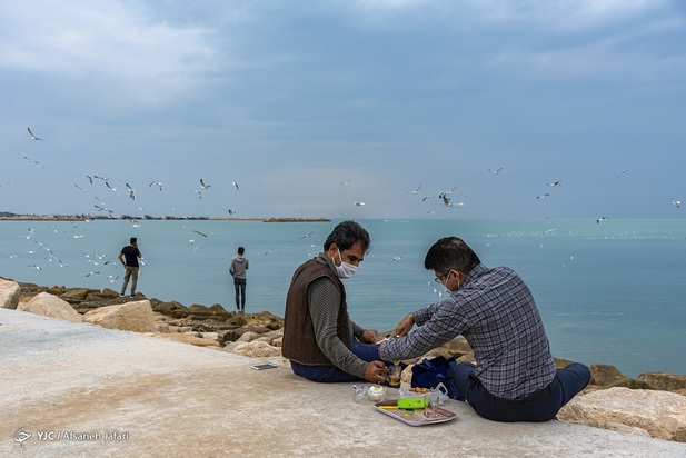 بازگشت شالوها