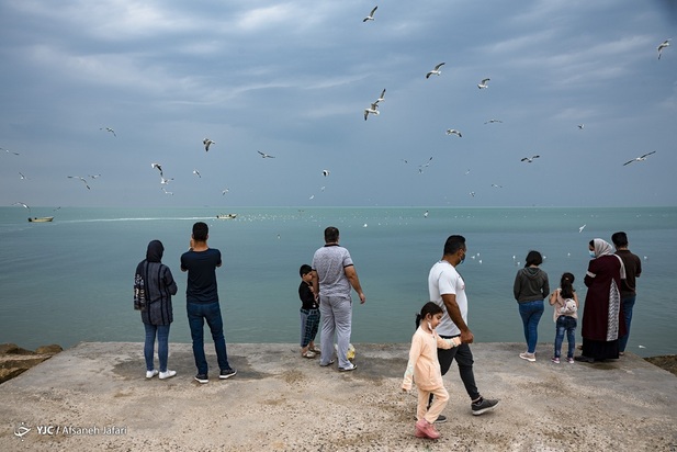 بازگشت شالوها