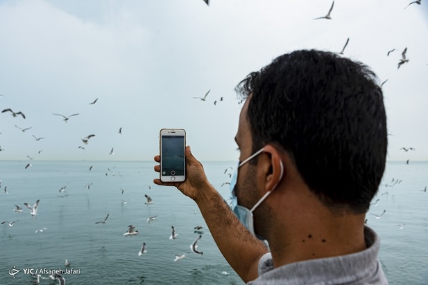 بازگشت شالوها