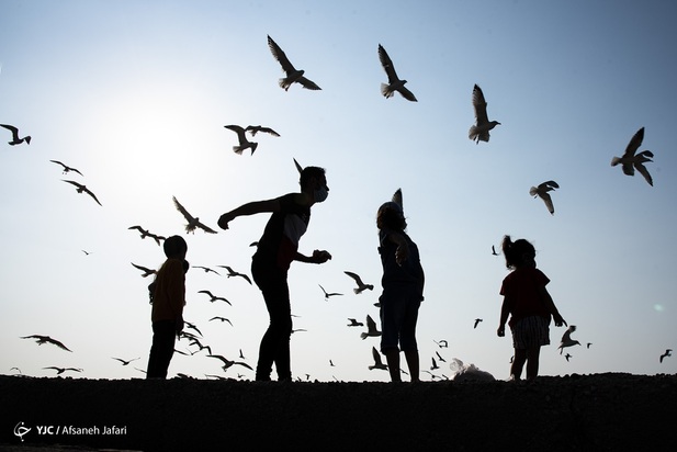 بازگشت شالوها