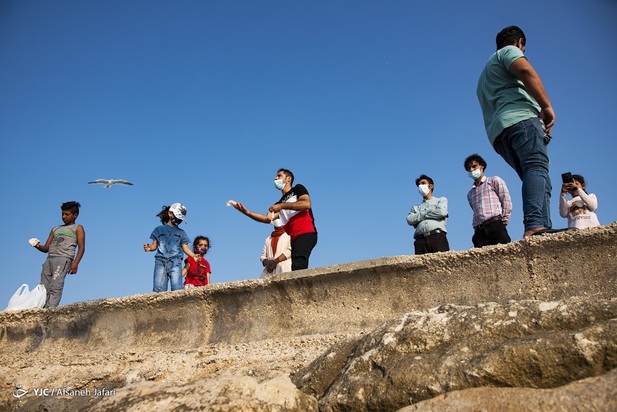 بازگشت شالوها