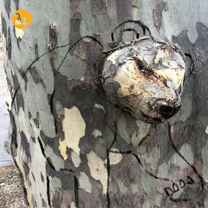 نقاشی‌های مفهومی