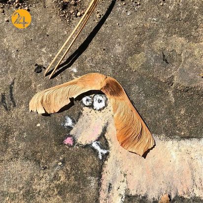 نقاشی‌های مفهومی