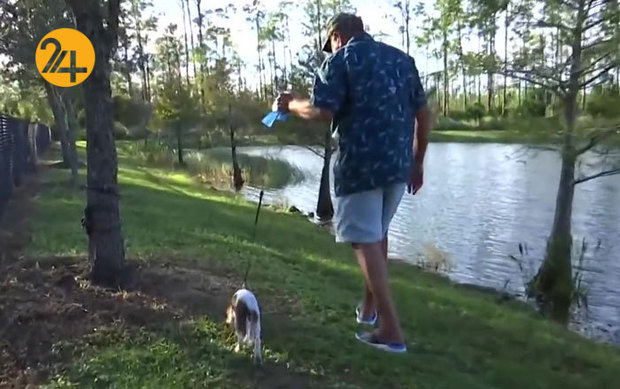 نجات سگ سه ماهه از دهان تمساح