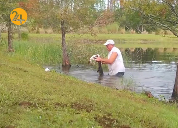 نجات سگ سه ماهه از دهان تمساح