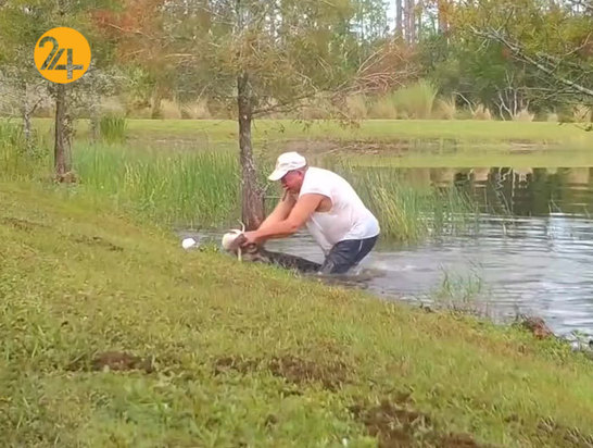 نجات سگ سه ماهه از دهان تمساح