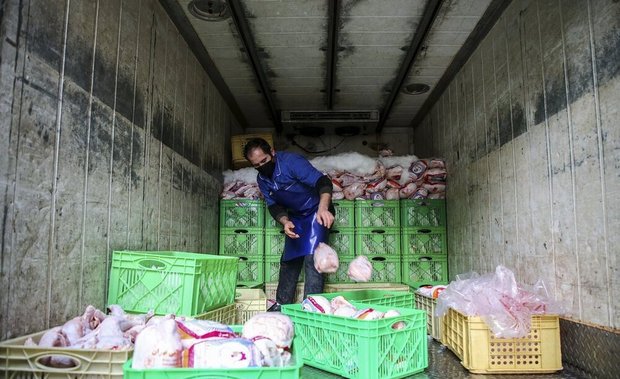 پرواز مرغ از سفره‌های اقشار کم درآمد