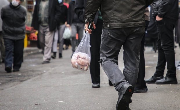 پرواز مرغ از سفره‌های اقشار کم درآمد