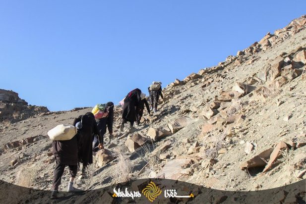 زنان بشاگرد