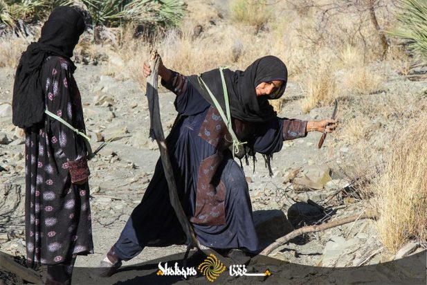 زنان بشاگرد