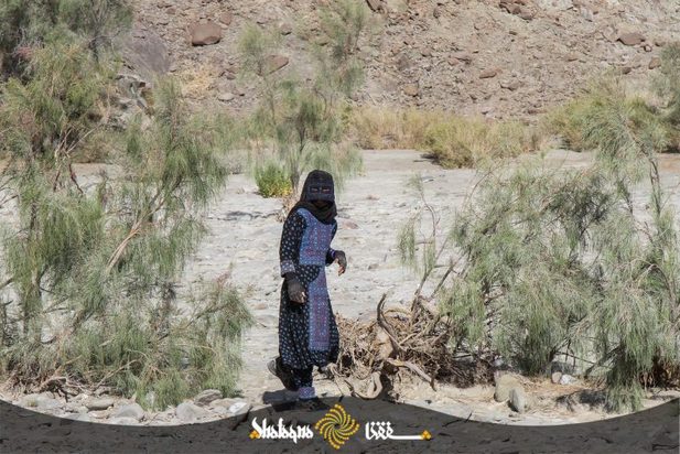 زنان بشاگرد