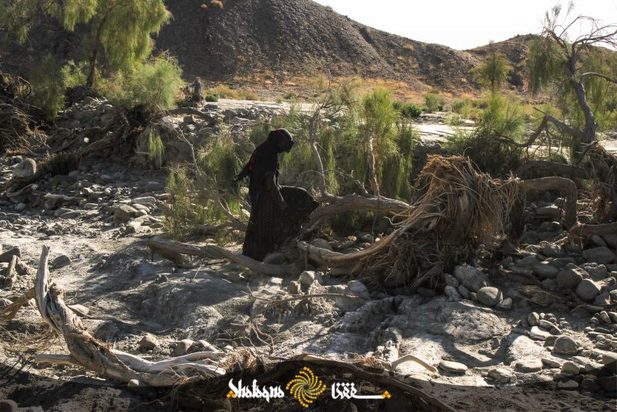 زنان بشاگرد