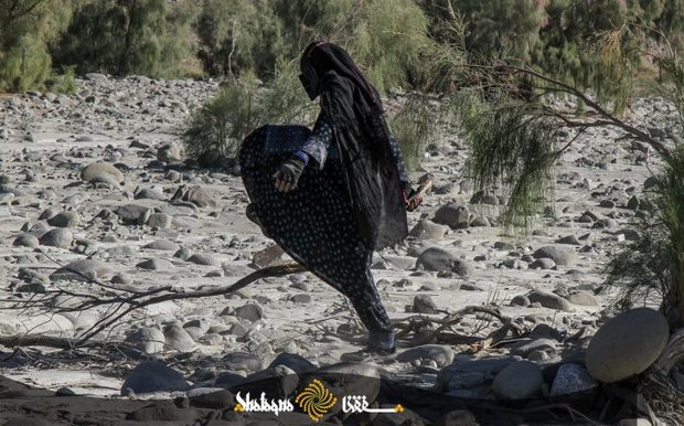 زنان بشاگرد