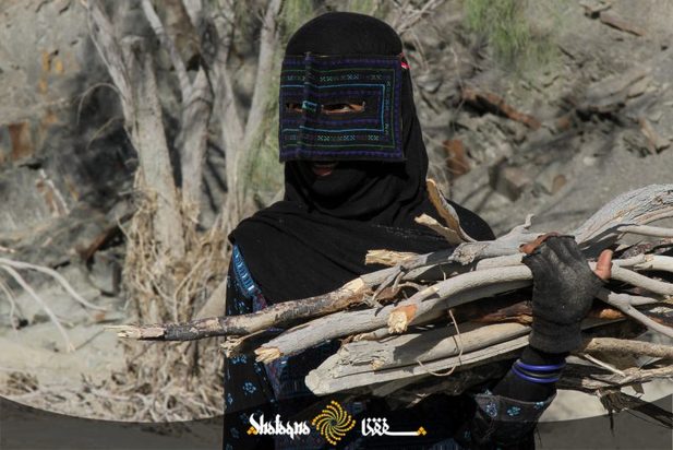 زنان بشاگرد