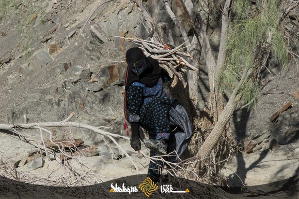 زنان بشاگرد