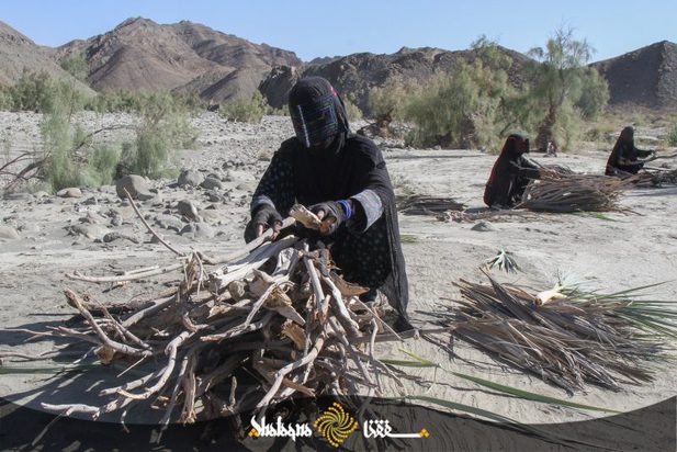 زنان بشاگرد