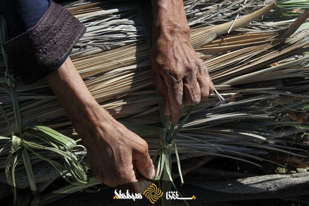 زنان بشاگرد