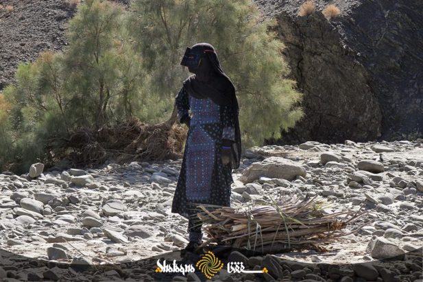 زنان بشاگرد