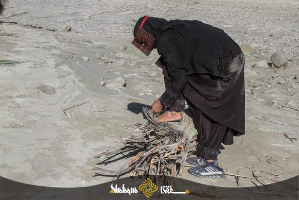 زنان بشاگرد