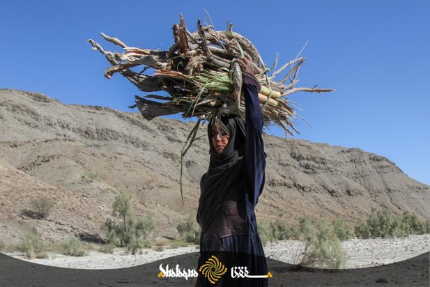 زنان بشاگرد