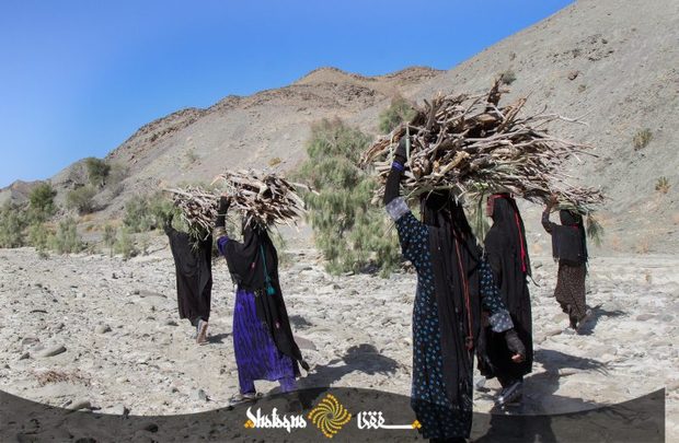 زنان بشاگرد