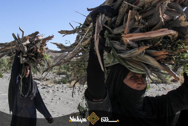 زنان بشاگرد