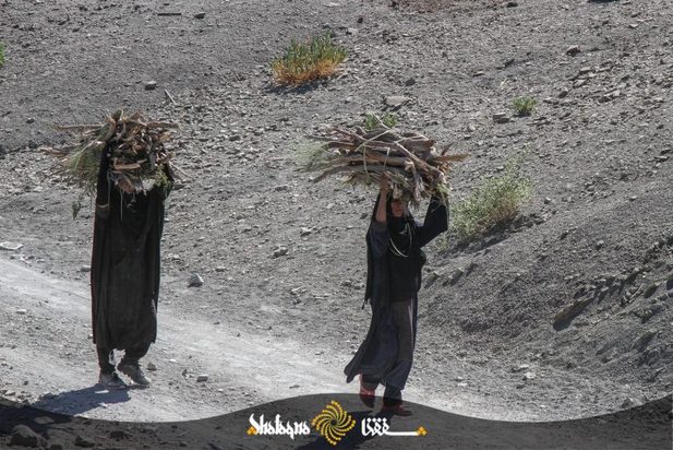 زنان بشاگرد