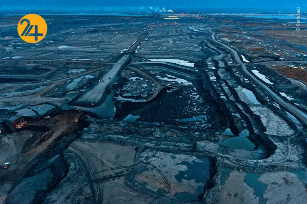 بهترین تصاویر از حیات وحش