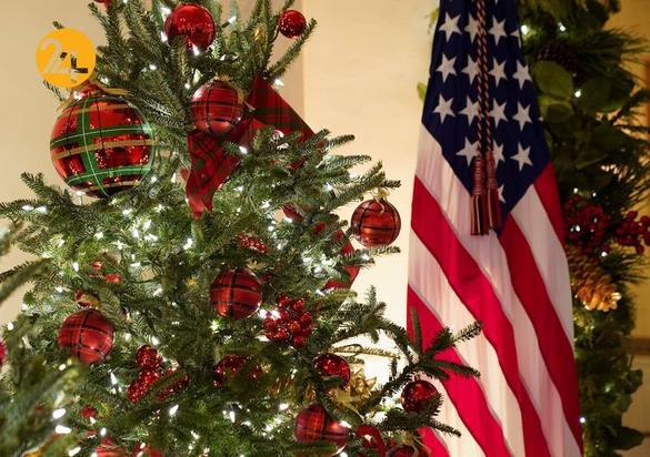 کاخ سفید در آستانه کریسمس